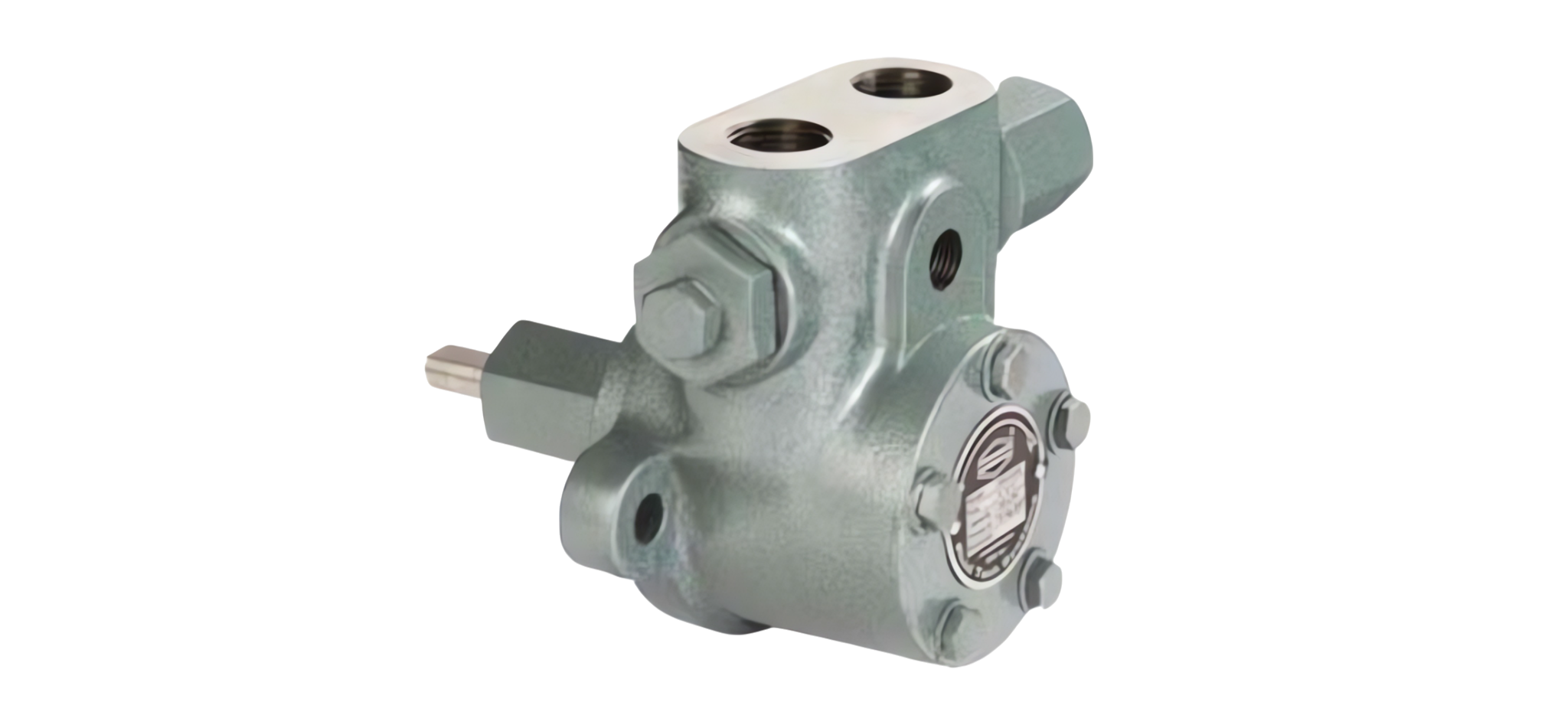 gear pump 2